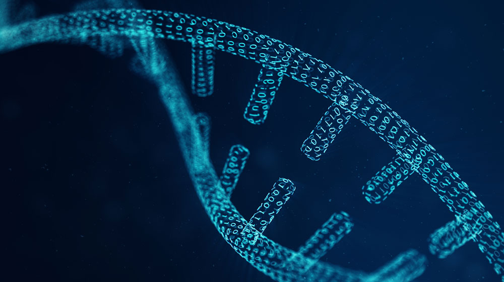 genome made in binary | feature
