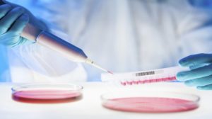 Scientist with tool kits and gloves | Feature image