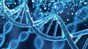 DNA gene helix spiral molecule structure | Feature Image | The Power of Epigenetics: Slow Aging And Feel Younger With a Simple Test