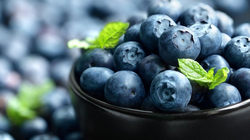 A bowl of blueberry in healthy organic concept | Feature | Pterostilbene Benefits & Why It's Better Than Resveratrol