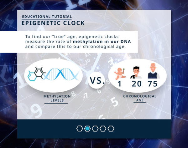 Tutorial: Epigenetic Clock - TruDiagnostic